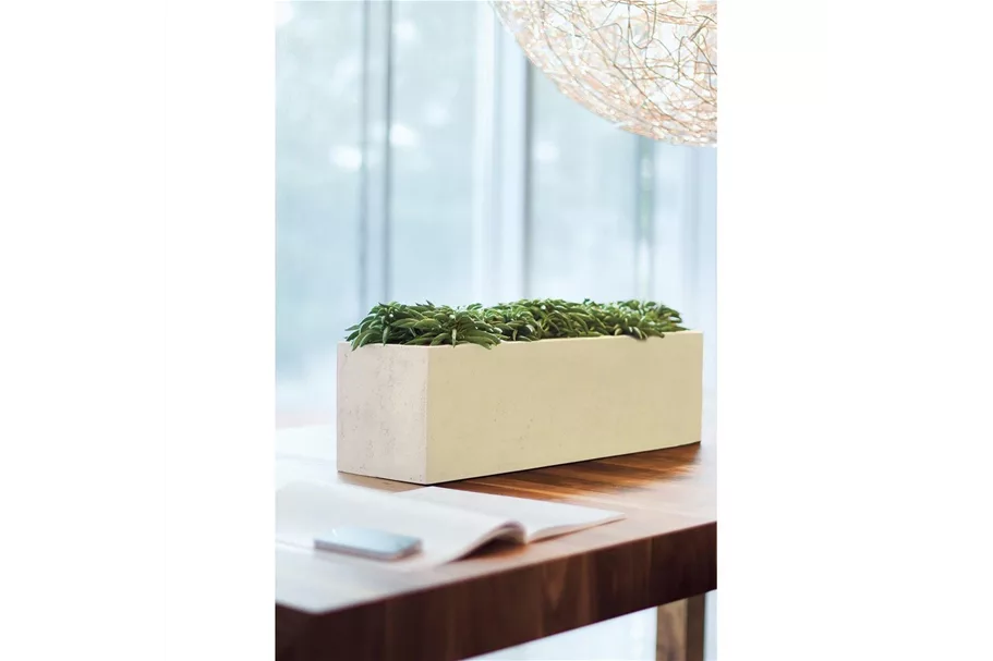 POLYSTONE FLOWERBOX Tischgefäß 65x18/18 cm, crème