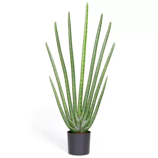 SANSEVIERIA CYLINDRICA Kunstpflanze