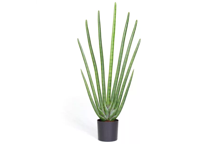 SANSEVIERIA CYLINDRICA Kunstpflanze 80 cm