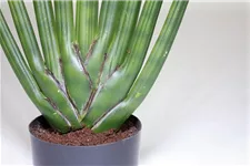 SANSEVIERIA CYLINDRICA Kunstpflanze 80 cm