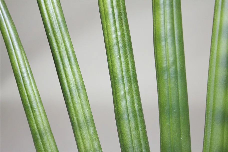 SANSEVIERIA CYLINDRICA Kunstpflanze 80 cm