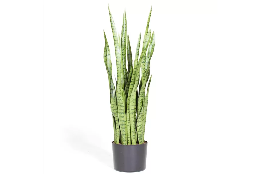 SANSEVIERIA EXTRA Kunstpflanze 100 cm