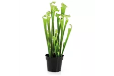 SARRACENIA Kunstpflanze 65 cm