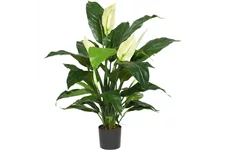 SPATHIPHYLLUM DELUXE Kunstpflanze 80 cm