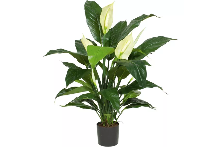 SPATHIPHYLLUM DELUXE Kunstpflanze 80 cm