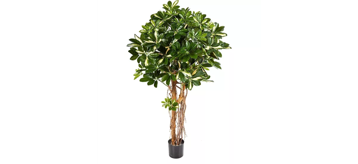 SCHEFFLERA ACTINOPHYLLA Kunstpflanze 150 cm