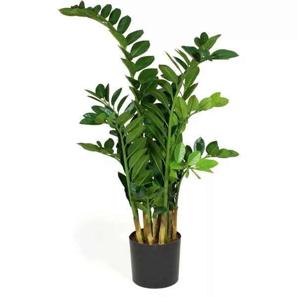 fleur ami ZAMIOCULCAS Kunstpflanze