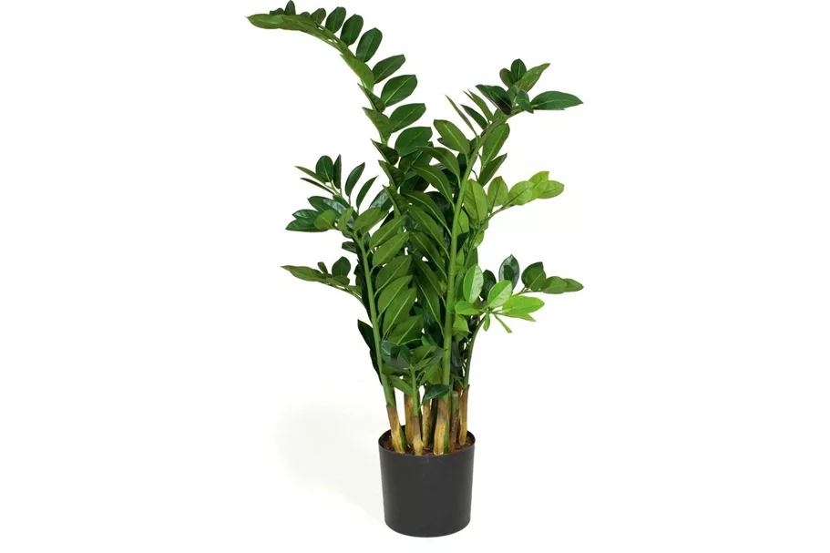 fleur ami ZAMIOCULCAS Kunstpflanze 110 cm