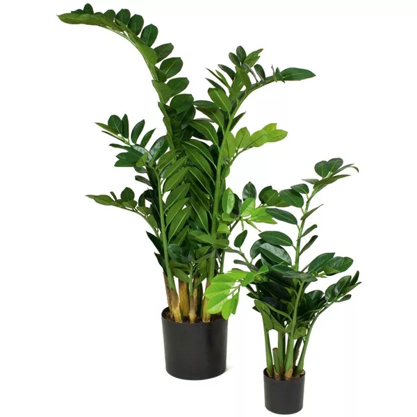 ZAMIOCULCAS Kunstpflanze