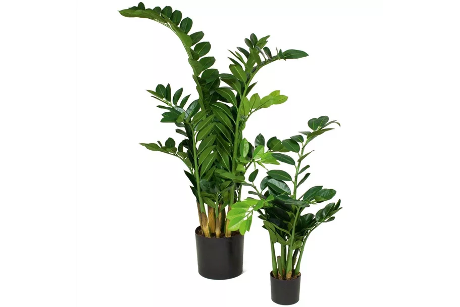 ZAMIOCULCAS Kunstpflanze 65 cm