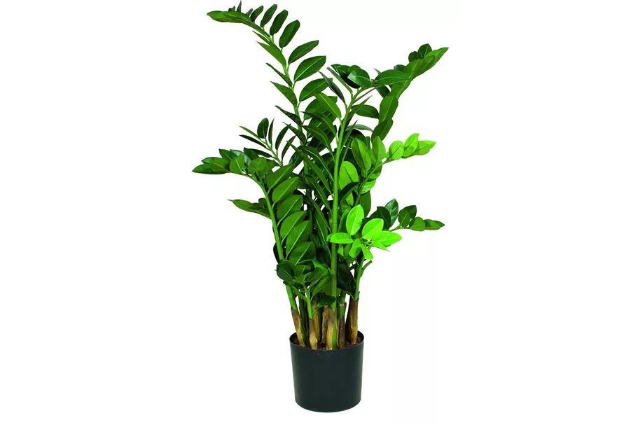 ZAMIOCULCAS Kunstpflanze 65 cm