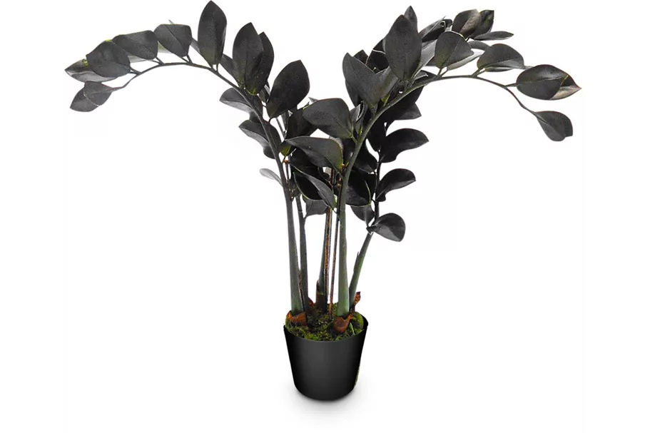 ZAMIOCULCAS Kunstpflanze 60 cm