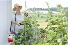 Birchmeier Druckspeichersprühgerät 'Garden Star' 3l