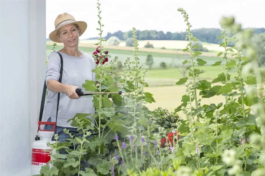 Birchmeier Druckspeichersprühgerät 'Garden Star' 3l