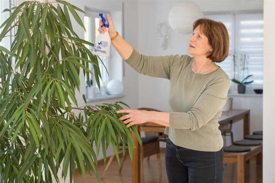 Birchmeier Handsprühgerät 'Skylution 360°' 0,5 l sprüht in jeder Position