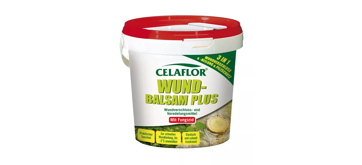 Celaflor Wundbalsam Plus 500 g