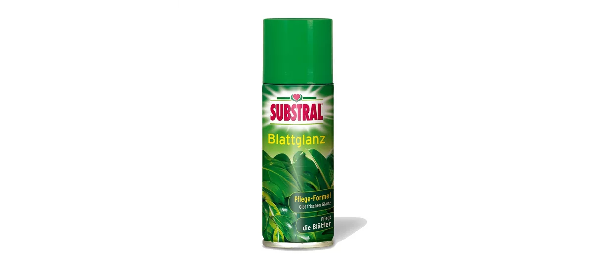 Substral Blattglanz 200 ml