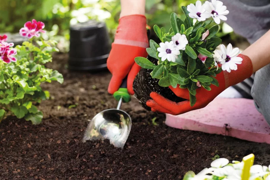 Seramis Leichte Blumenerde 12,5 l Torffrei mit 50 % weniger Gewicht