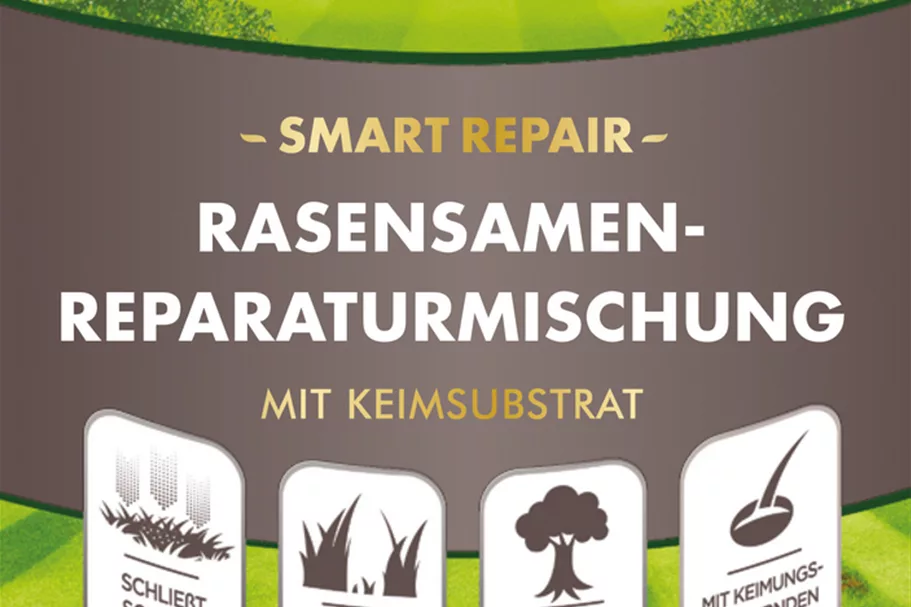 Westland Rasensamen Reparaturmischung "Smart Repair" 1 kg 1 kg