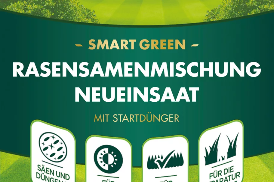 Westland Rasensamenmischung Neueinsaat "Smart Green" 1 kg