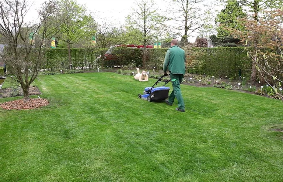 Pflanzzeit & Neubeginn im Garten