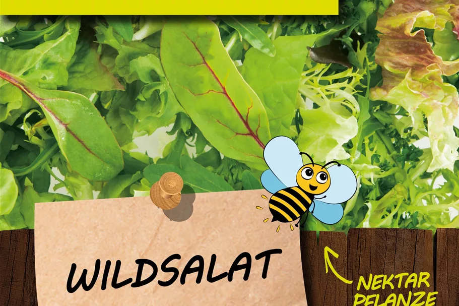 Bio Wildsalat online kaufen bei Olerum