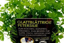 Bio Petersilie glatt Kräutertopf 12 cm Petersilie glatt