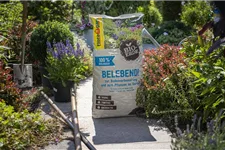 Floragard Bio-Erde Belebend 1x60l