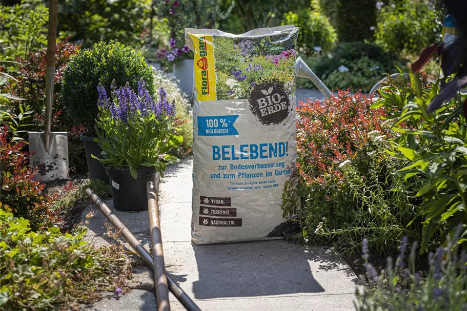 Floragard Bio-Erde Belebend 1x60l