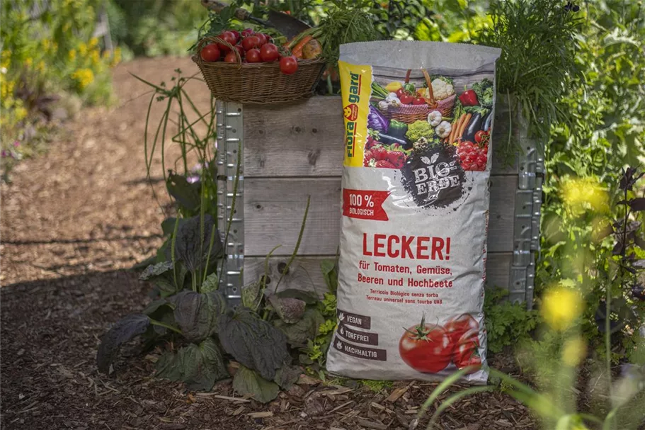 Floragard Bio-Erde Lecker 1x20l