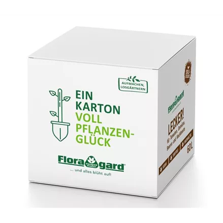 Floragard Bio-Erde Lecker! Gemüse- und Hochbeeterde in der Box 60 Liter