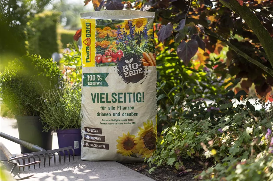 Floragard Bio-Erde Vielseitig mit Tragegriff 1x3l