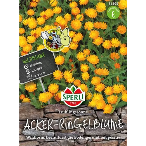 Acker-Ringelblume 'Frühlingssonne'