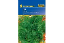 Dill ca. 200 Pflanzen