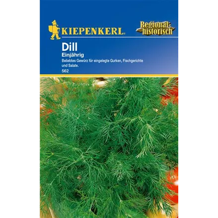 Dill