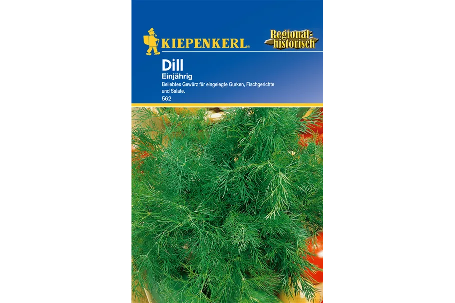 Dill ca. 200 Pflanzen