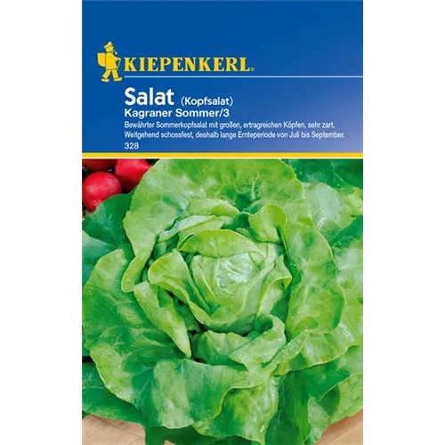 Kopfsalat 'Kagraner Sommer 2'