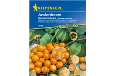 Andenbeere ca. 30 Pflanzen