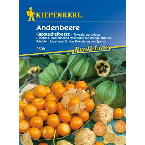 Andenbeere