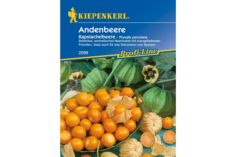 Andenbeere ca. 30 Pflanzen