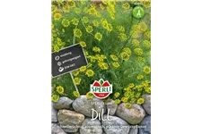 Dill 'Liso' Inhalt reicht für ca. 100 Pflanzen