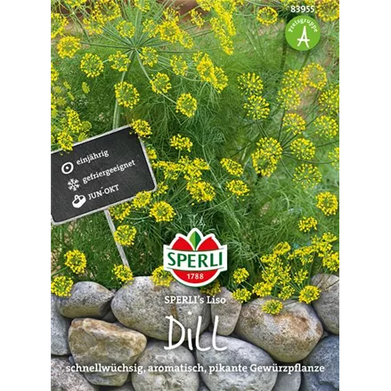 Dill 'Liso'