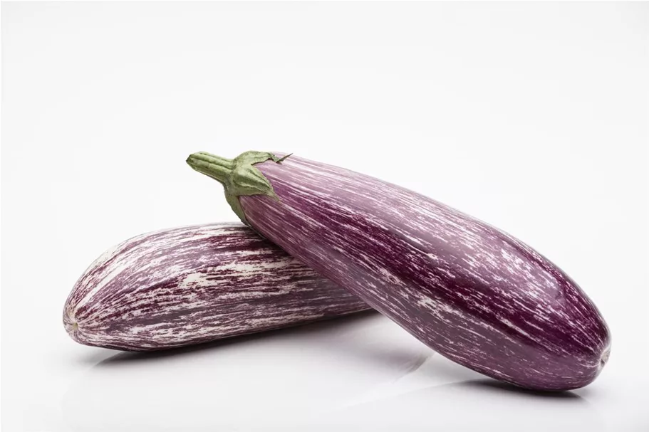 Aubergine 'Lucilla' 8 Korn