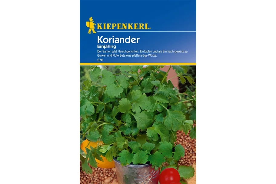 Koriander ca. 70 Pflanzen