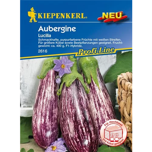 Aubergine 'Lucilla'