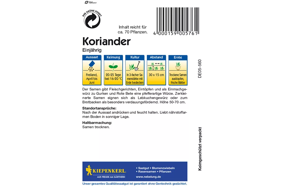 Koriander ca. 70 Pflanzen