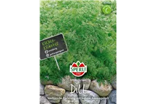 Dill 'Sari' Inhalt reicht für ca. 80 Pflanzen