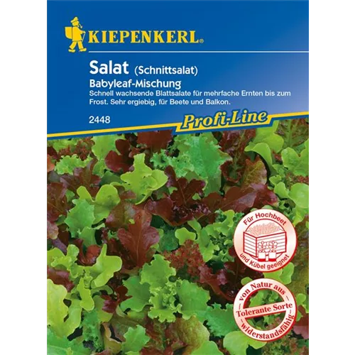 Babyleaf-Salat