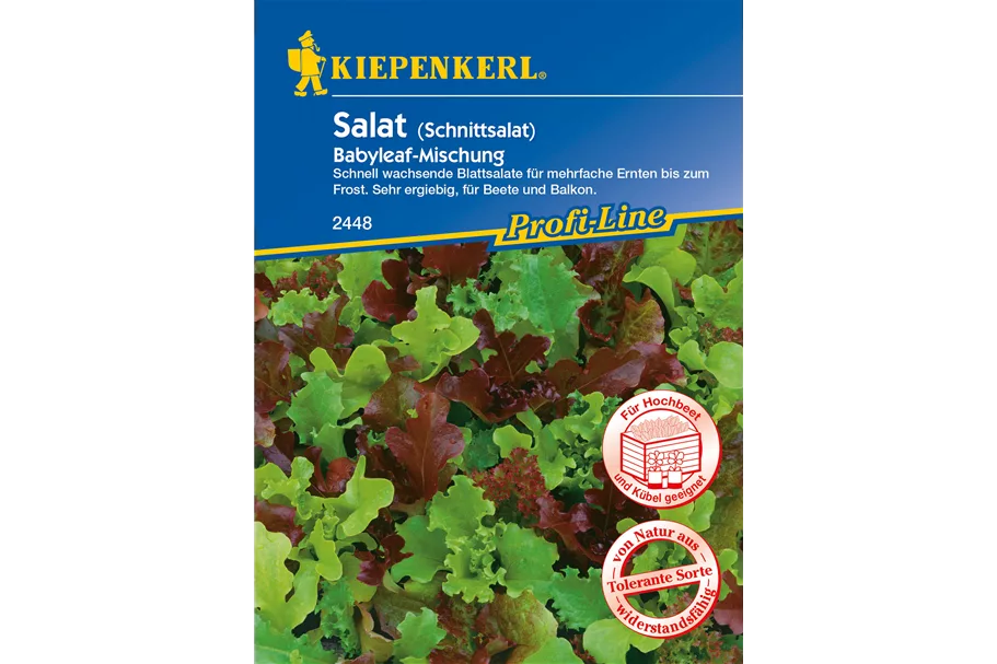 Babyleaf-Salat 3 lfd. Meter