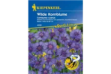 Kornblume 3-5 m²